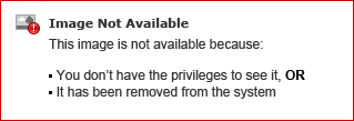 I downloaded Scout GPS Navigation and it will not work in my vehicle?